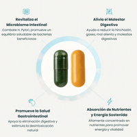 Lumera™ Pack Reset Intestinal Natural